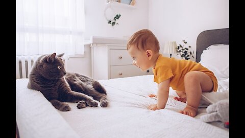 Child With Cat Funy