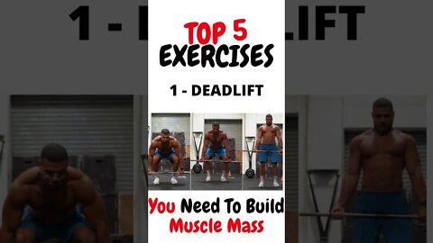 The ONLY 5 Exercises Men Need To Build Muscle - Top 5 Exercise You Need To Build Muscle Mass #shorts