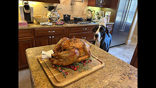 Great Dane Chef Checks Out Turkey With Happy Thanksgiving Wishes