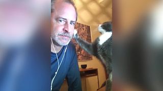 "Lovely Cat Pets A Man's Face"