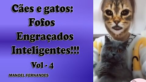 Cães e gatos: Fofos, engraçados e inteligentes!!! vol - 4