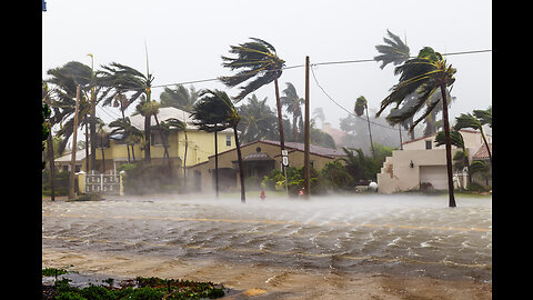 Hurricane Ian Damage With Me