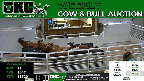 4/3/2023 - OKC West Weekly Cow & Bull Auction