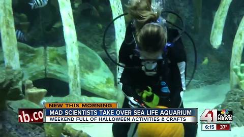 Enjoy Halloween science at Sea Life interactive aquarium