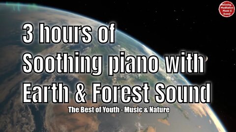 Soothing music with piano and forest sound for 3 hours, music for healing, sleeping & resting