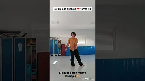 Tai chi con abanico, forma 18: El sauce llorón mueve las hojas y sacudir el polvo de cara al viento