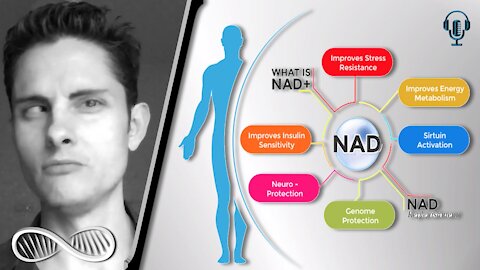 What is the best way to supplement NAD+?
