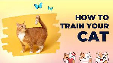 How To Train Your Cat To Use The Toilet Toilet Training For Cat !amazing!