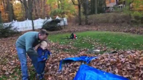 Baby Experiences His First Leaf Pile