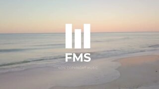 FMS - Free Non Copyright EDM Music #032