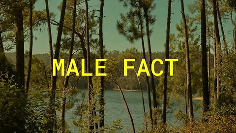 Male Fact