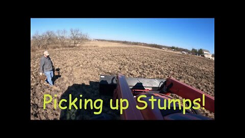 Picking up Stumps. Drone Video of the plowed field.