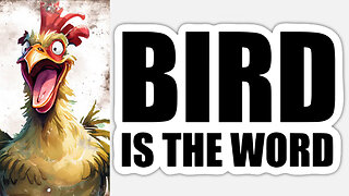 Bird Flu | Bird Is the Word? CDC Launching Wastewater Dashboard to Track Bird Flu Virus Spread? “Bird Flu Jumps from Cow to Human, First Case” - ScienceAlert.com + “Highly pathogenic avian flu found in NYC birds.” - NYPost