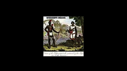 AMER'ICAN, noun A native of America; originally applied to the aboriginals, or copper-colored races,