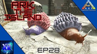 Snail tame + breeding and snail farm! - Ark The Island [E28]