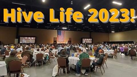 HIVE LIFE 2023 DAY 1 #hivelife