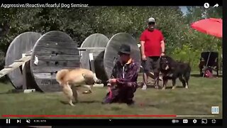 New Dog Training Information