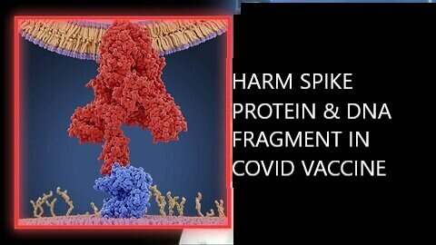 Scientific Findings Harms Spike Protein and of DNA Fragments Detected in Covid Vaccine