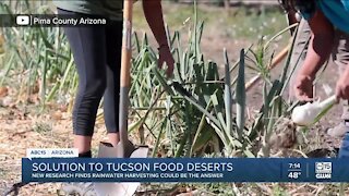 New research finds rainwater harvesting could be solution to Tucson food deserts