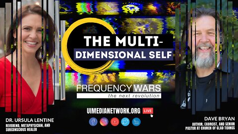 Frequency Wars: The Multi-Dimensional Self
