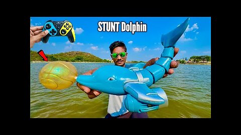 RC Realistic Smart Dolphin Boat Unboxing & Testing - Chatpat toy TV