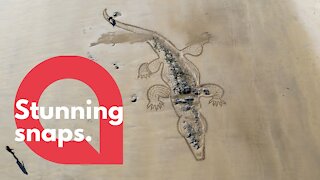 Artist creates giant picture of crocodile using garden rake