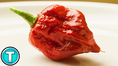 Top 10 HOTTEST Peppers on Earth!