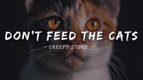 Don't Go Feed the Cats | Creepy Story