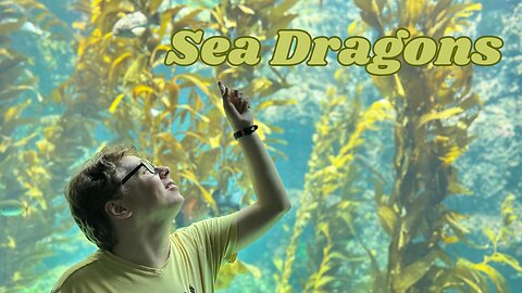 Sea Dragon Search at Birch Aquarium!: Explore Now!