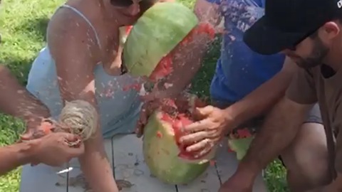 The Great Watermelon Explosion Challenge