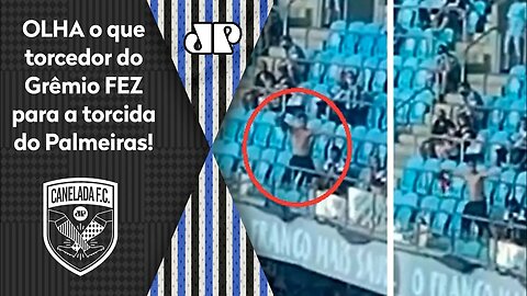 "QUE PALHAÇADA! ISSO É CRIME!" OLHA o que torcedor do Grêmio FEZ para a torcida do Palmeiras!