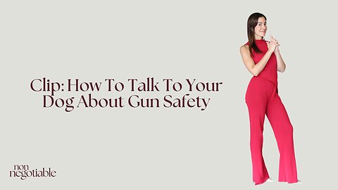Clip: How To Talk To Your Dog About Gun Safety