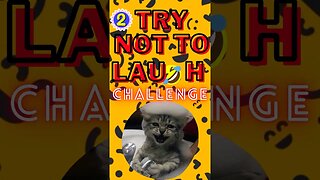 Try Not To Laugh Challenge#meme#funny