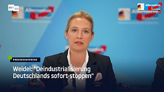 AfD-Fraktion stellt "Sofortprogramm einer AfD-geführten Bundesregierung" vor