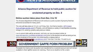 State government employee mistakenly distributes porn link