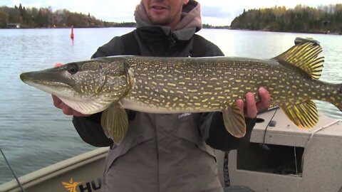 NorthWest Ontario Fishing Adventure with Jeff Gustafson