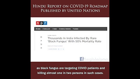 United Nations Publishes Report by Hindus for Multilateral Response to COVID19 (part 1)