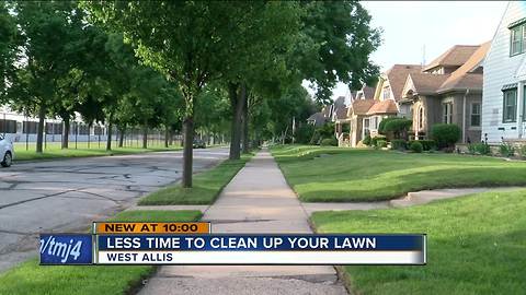 West Allis changes rules to address out of control lawns