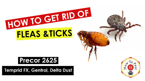 How To Get Rid of Fleas and Ticks - Precor 2625, Temprid FX, Gentrol, Delta Dust