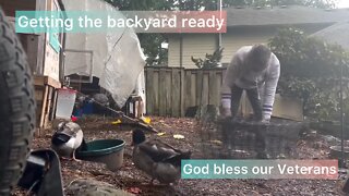 Getting our chicken area ready for our move￼