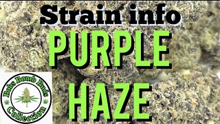 Purple Haze, Buy Low Green