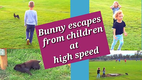 Bunny escapes from children at high speed, children jumping on the trampoline and turning heads