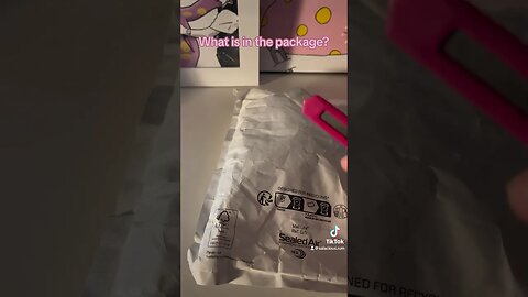 What is in the package ?