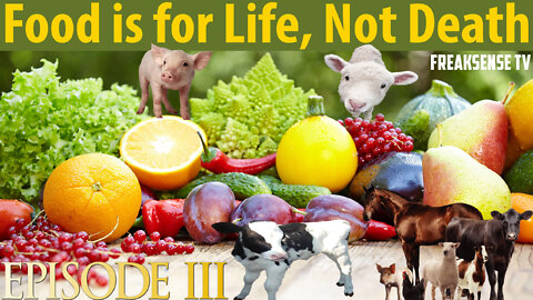 Food is For Life, NOT Death, A Series: Episode #3 ~ Thou Shalt Not Kill