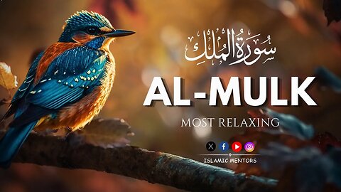 World's best recitation of Surah Al Mulk (سورة الملك) || Islamic Mentors