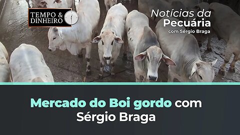 Confira as Notícias da Pecuária com Sérgio Braga