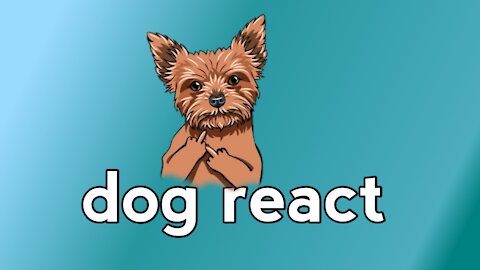 dog funny video. cool dog v/s angry dog show middle finger
