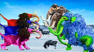 10 Zombie Lions vs Mammoth Elephant Fight Cow Cartoon Rescue Saved By Woolly Mammoth Animal Revolt