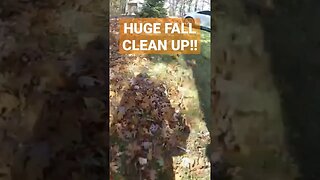 Huge Fall Clean-up!