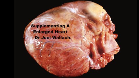 Supplementing A Enlarged Heart - Dr Joel Wallach
